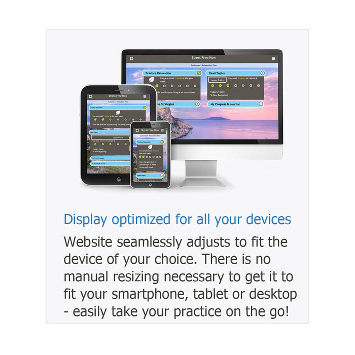 Stress Free Now Online Program Optimized Display