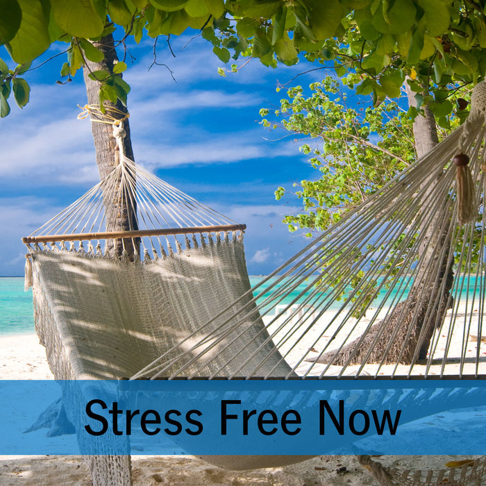 Stress Free Now Online Program